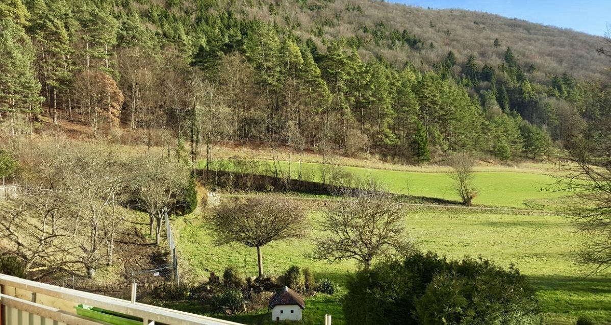 Hotel Gasthof Zum Lowen Wiechs am Randen Exteriör bild