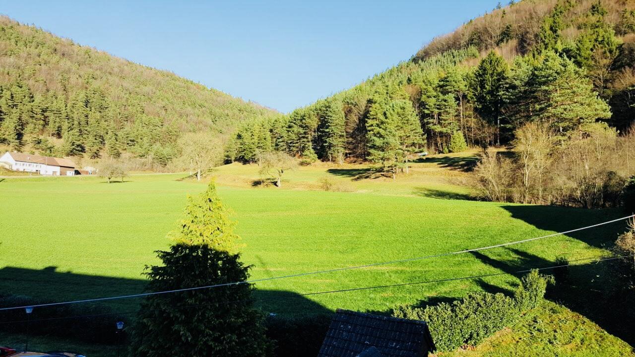 Hotel Gasthof Zum Lowen Wiechs am Randen Exteriör bild