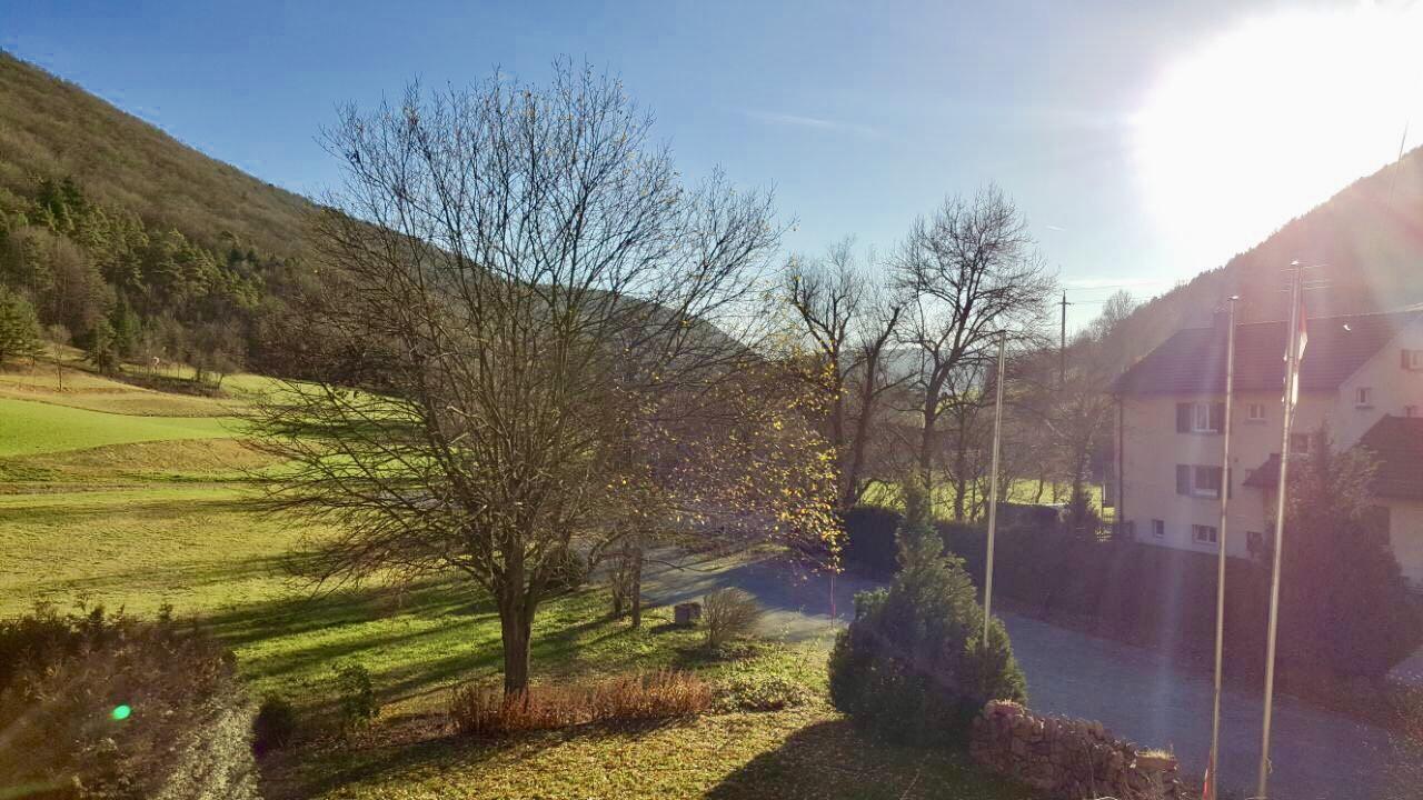 Hotel Gasthof Zum Lowen Wiechs am Randen Exteriör bild